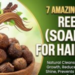 A bowl of dried Reetha (soapnuts) next to a wooden spoon containing fine Reetha powder and a bottle of herbal hair oil.