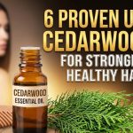 A small glass bottle of cedarwood essential oil resting on a wooden table next to fresh cedar branches.