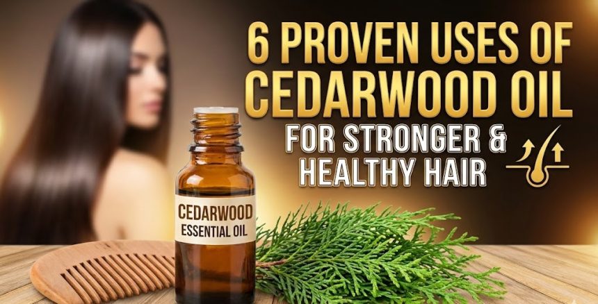 A small glass bottle of cedarwood essential oil resting on a wooden table next to fresh cedar branches.
