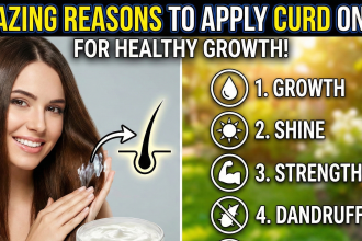 A top-down view of a wooden bowl filled with fresh curd surrounded by aloe vera and honey for a DIY hair mask.