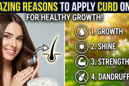 A top-down view of a wooden bowl filled with fresh curd surrounded by aloe vera and honey for a DIY hair mask.